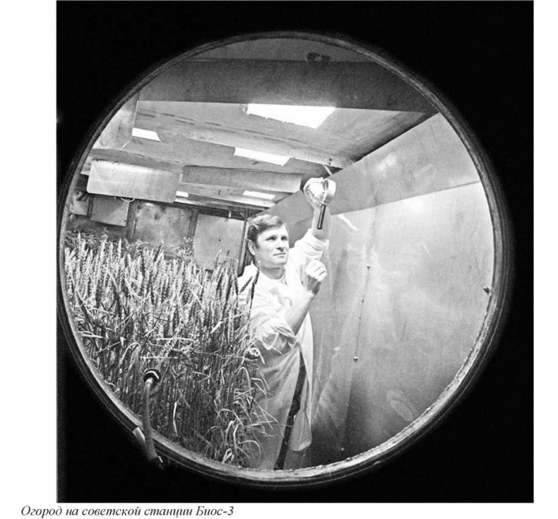 Иллюстрация к книге — Тайны природных аномалий [i_030.jpg]