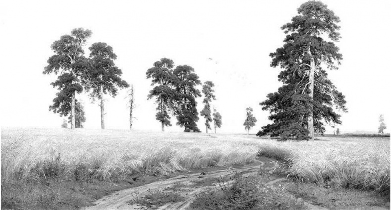 Иллюстрация к книге — Тайны природных аномалий [i_039.jpg]