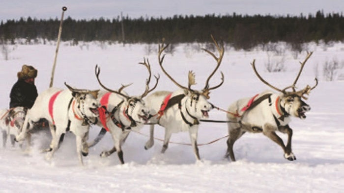 Иллюстрация к книге — Забытые союзники во Второй мировой войне [i_173.jpg]