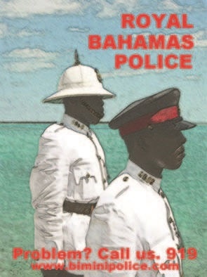 Иллюстрация к книге — Забытые союзники во Второй мировой войне [i_261.jpg]