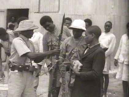 Иллюстрация к книге — Забытые союзники во Второй мировой войне [i_301.jpg]