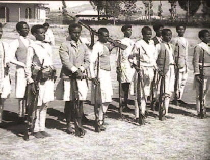 Иллюстрация к книге — Забытые союзники во Второй мировой войне [i_302.jpg]