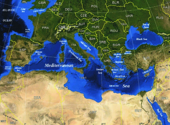 Иллюстрация к книге — Забытые союзники во Второй мировой войне [i_315.jpg]