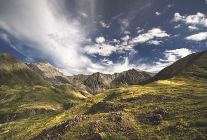 Иллюстрация к книге — Забытые союзники во Второй мировой войне [i_323.jpg]