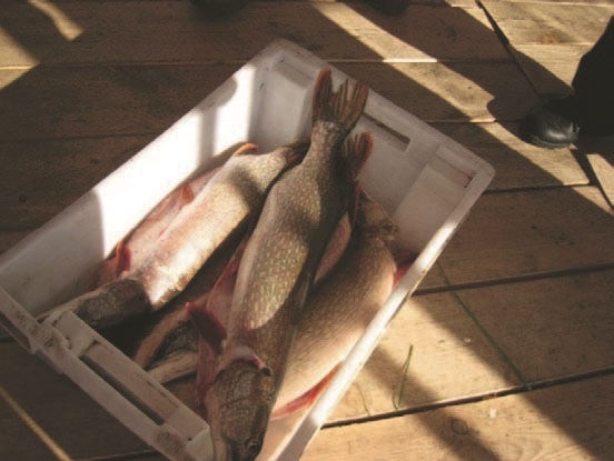 Иллюстрация к книге — Забытые союзники во Второй мировой войне [i_324.jpg]