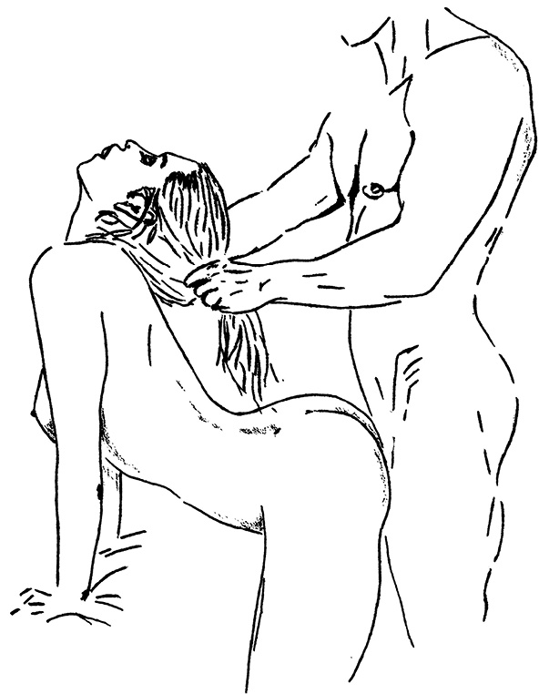 Иллюстрация к книге — Bravo, Penis! Об интимной жизни глазами врача [i_009.jpg]