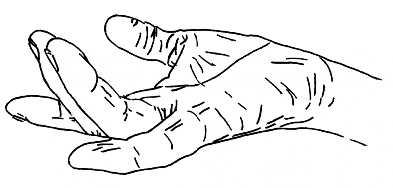 Иллюстрация к книге — Bravo, Penis! Об интимной жизни глазами врача [i_014.jpg]