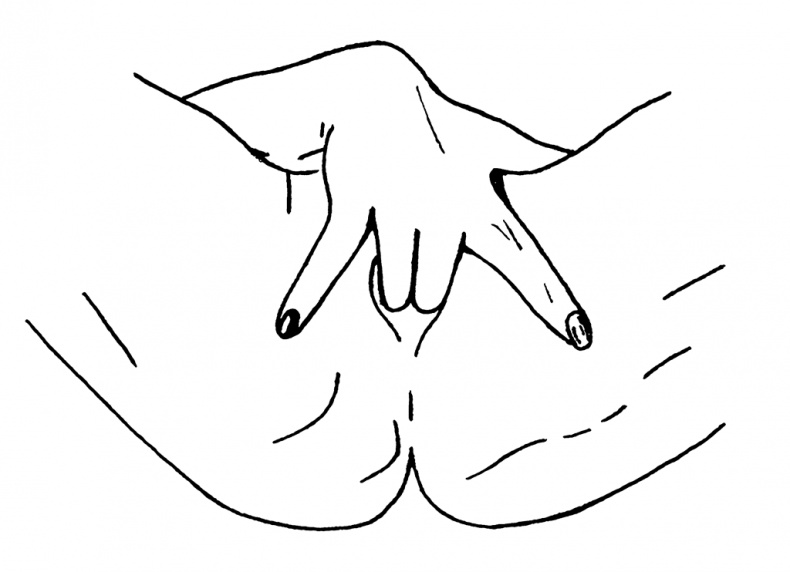 Иллюстрация к книге — Bravo, Penis! Об интимной жизни глазами врача [i_015.jpg]