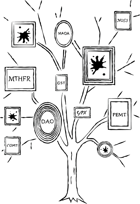 Иллюстрация к книге — Грязные гены. "Большая стирка" для вашей ДНК. Как изменить свою наследственность [i_003.jpg]