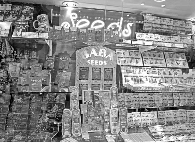 Иллюстрация к книге — Страшное дело. Рептилоиды нашего времени [i_006.jpg]