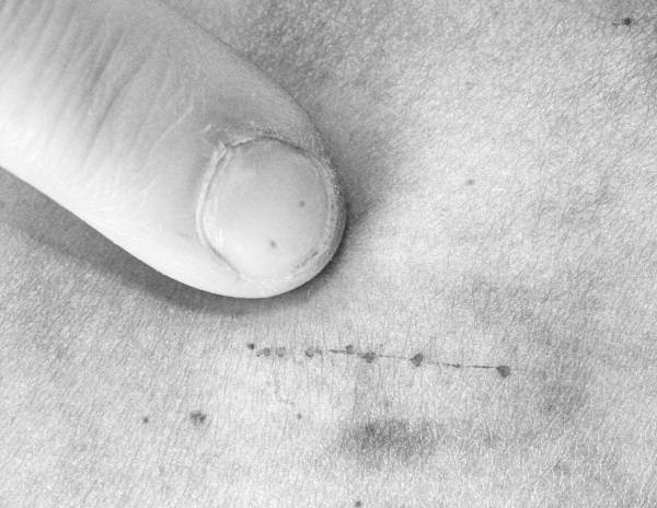 Иллюстрация к книге — Страшное дело. Рептилоиды нашего времени [i_016.jpg]