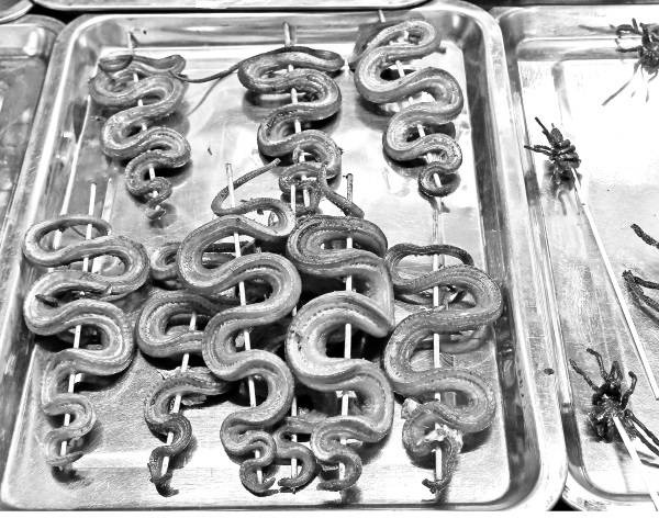 Иллюстрация к книге — Страшное дело. Рептилоиды нашего времени [i_029.jpg]