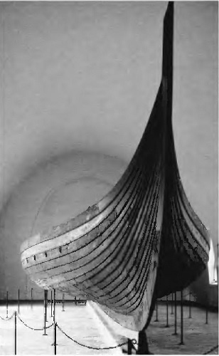 Иллюстрация к книге — Русь в IX–X веках. От призвания варягов до выбора веры [i_016.jpg]