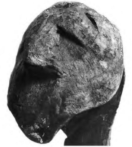 Иллюстрация к книге — Русь в IX–X веках. От призвания варягов до выбора веры [i_051.jpg]