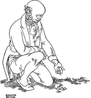 Иллюстрация к книге — Когнитивная психология [img_125.jpg]