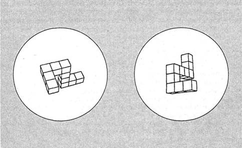 Иллюстрация к книге — Когнитивная психология [img_186.jpg]