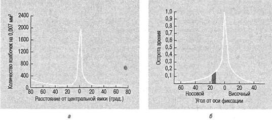 Иллюстрация к книге — Когнитивная психология [img_222.jpg]