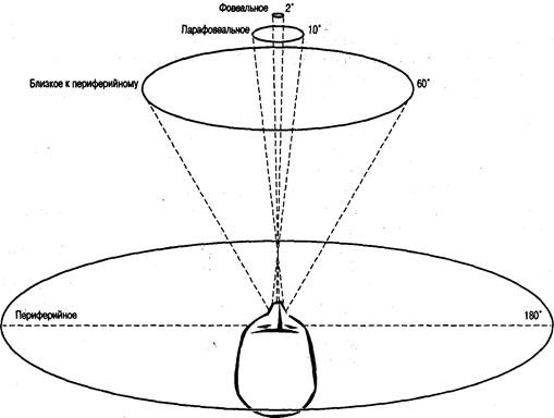 Иллюстрация к книге — Когнитивная психология [img_223.jpg]