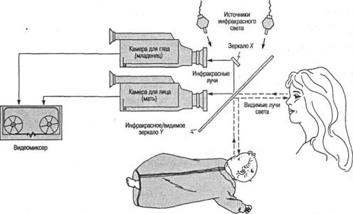 Иллюстрация к книге — Когнитивная психология [img_265.jpg]