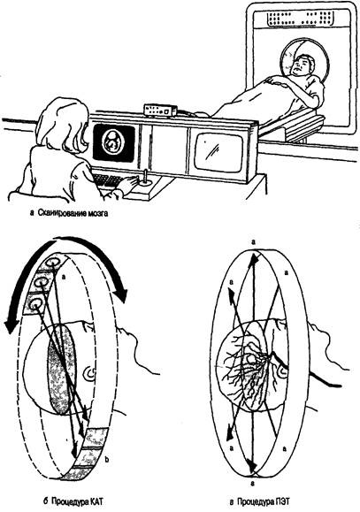 Иллюстрация к книге — Когнитивная психология [img_29.jpg]