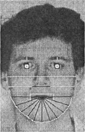 Иллюстрация к книге — Когнитивная психология [img_337.jpg]