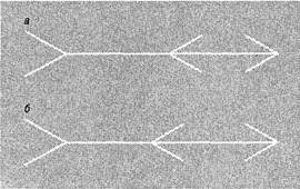 Иллюстрация к книге — Когнитивная психология [img_43.jpg]