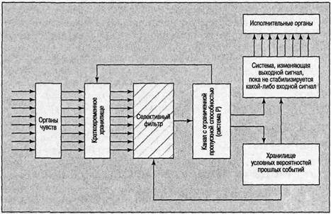 Иллюстрация к книге — Когнитивная психология [img_52.jpg]
