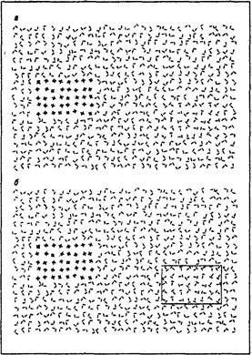 Иллюстрация к книге — Когнитивная психология [img_55.jpg]