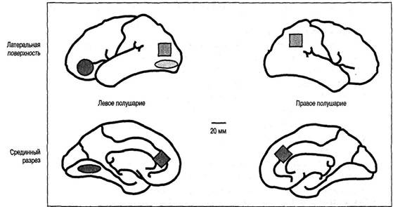 Иллюстрация к книге — Когнитивная психология [img_59.jpg]