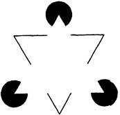 Иллюстрация к книге — Когнитивная психология [img_62.jpg]