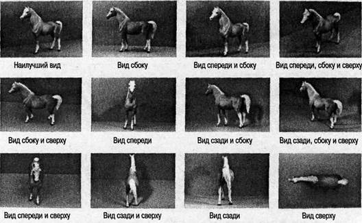 Иллюстрация к книге — Когнитивная психология [img_74.jpg]