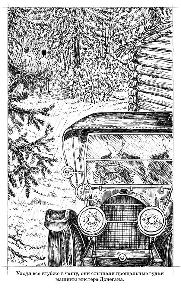 Иллюстрация к книге — Скауты в лесах [i_005.jpg]