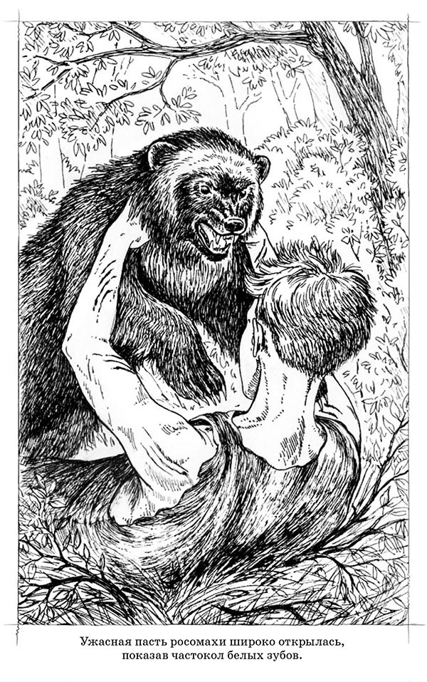 Иллюстрация к книге — Скауты в лесах [i_025.jpg]