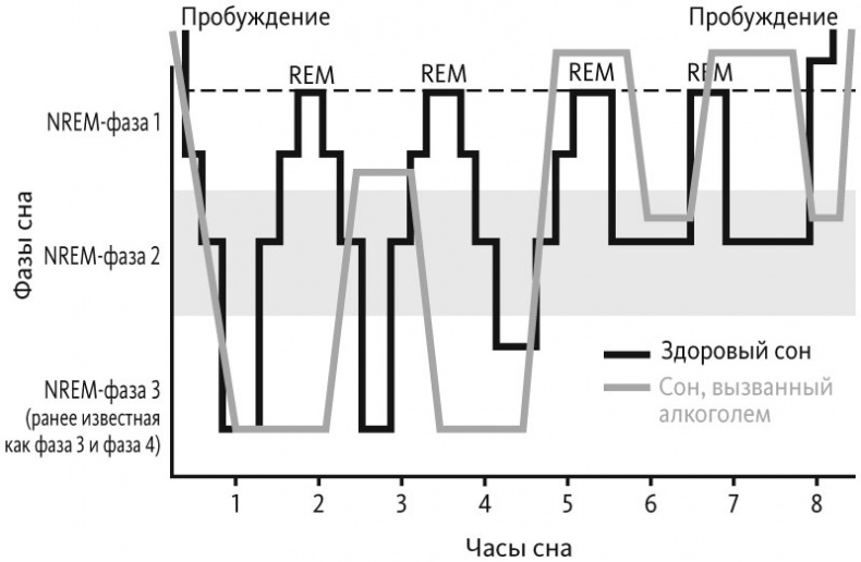 Иллюстрация к книге — Здоровый сон. 21 шаг на пути к хорошему самочувствию [i_009.jpg]