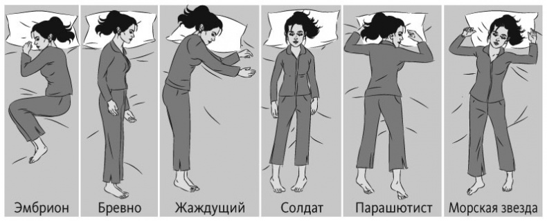 Иллюстрация к книге — Здоровый сон. 21 шаг на пути к хорошему самочувствию [i_010.jpg]