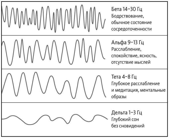 Иллюстрация к книге — Здоровый сон. 21 шаг на пути к хорошему самочувствию [i_014.jpg]