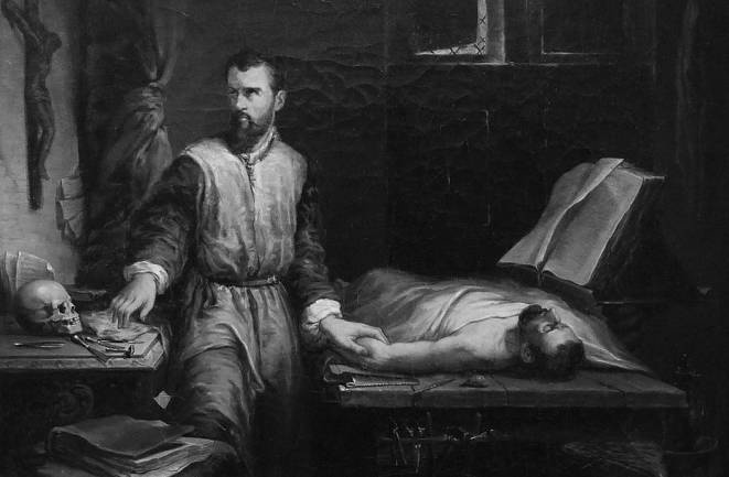 Иллюстрация к книге — Дорогой мистер Холмс [_14.jpg]