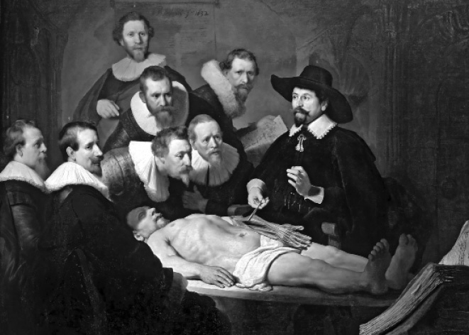 Иллюстрация к книге — Дорогой мистер Холмс [_16.jpg]