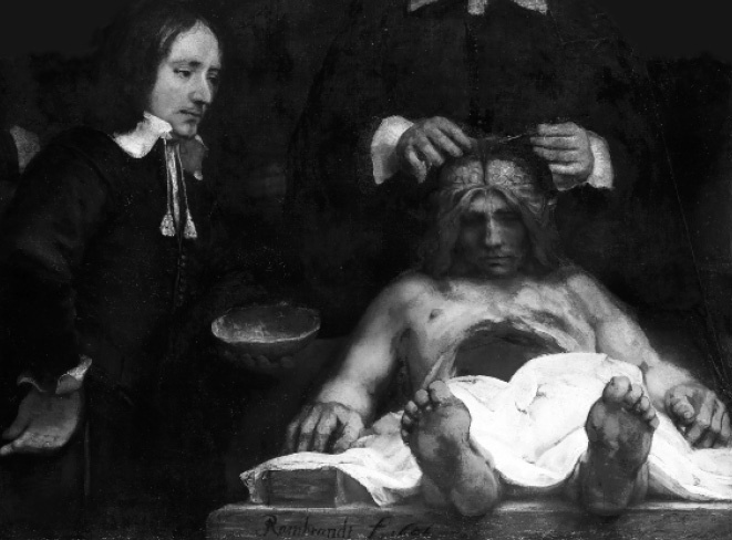 Иллюстрация к книге — Дорогой мистер Холмс [_21.jpg_0.jpg]