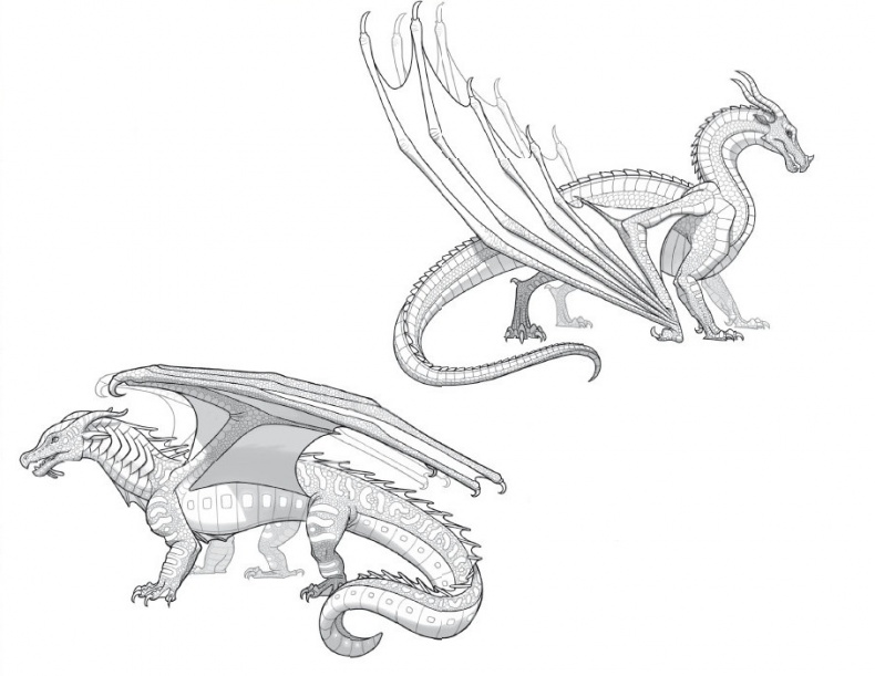 Иллюстрация к книге — Драконья сага. Преодоление Беды [i_005.jpg]