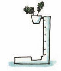 Иллюстрация к книге — Революция растений [i_007.jpg]