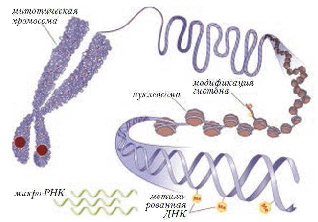 Иллюстрация к книге — Революция растений [i_010.jpg]