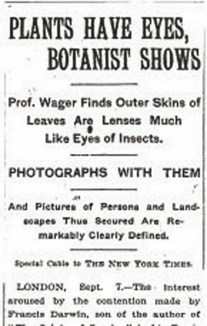 Иллюстрация к книге — Революция растений [i_026.jpg]