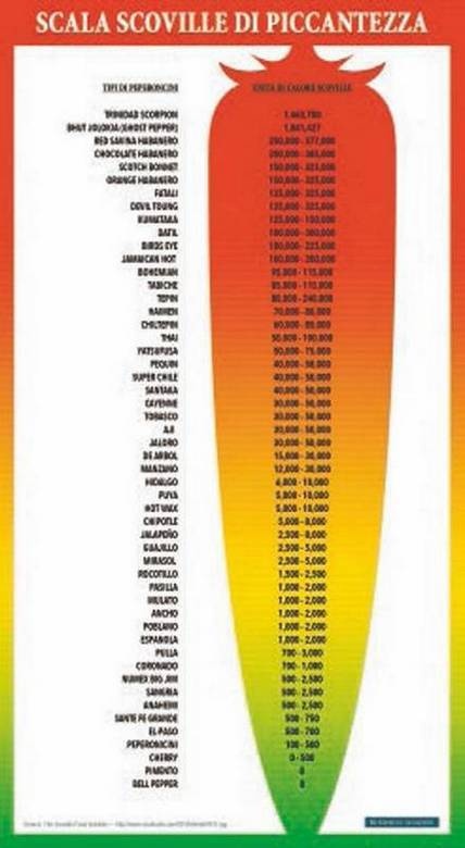 Иллюстрация к книге — Революция растений [i_053.jpg]