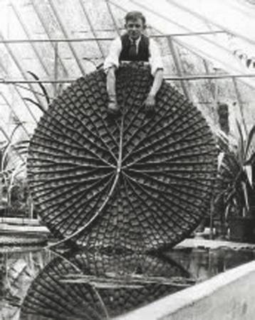 Иллюстрация к книге — Революция растений [i_072.jpg]