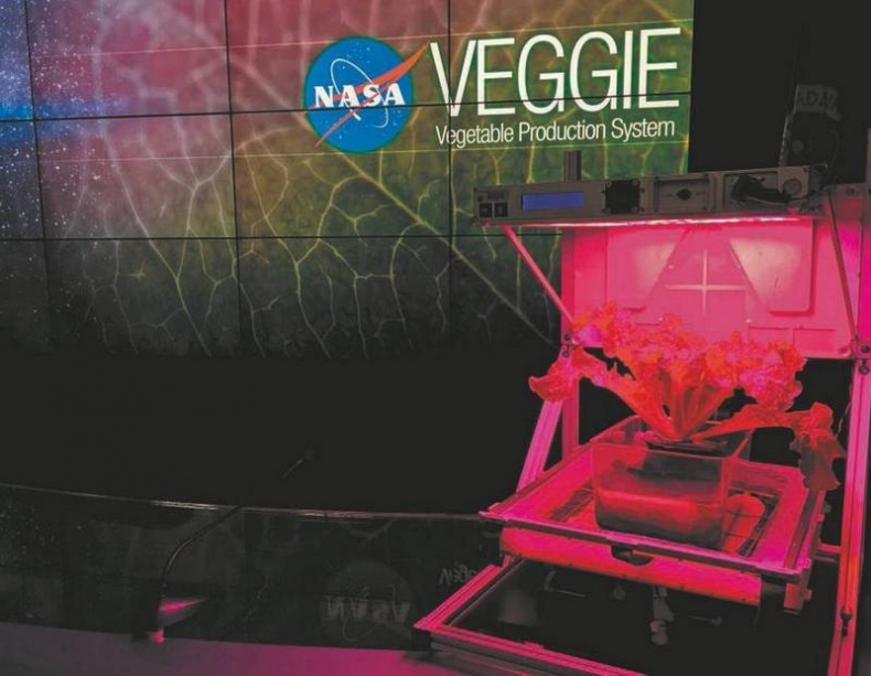 Иллюстрация к книге — Революция растений [i_085.jpg]