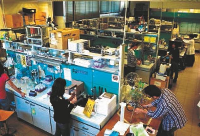 Иллюстрация к книге — Революция растений [i_086.jpg]