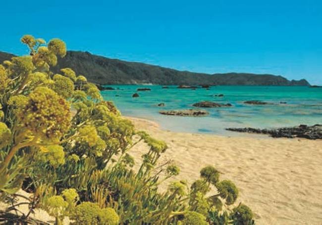 Иллюстрация к книге — Революция растений [i_095.jpg]