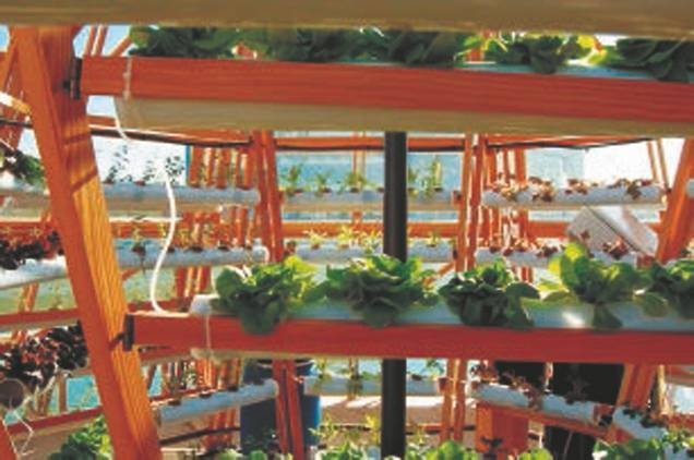 Иллюстрация к книге — Революция растений [i_101.jpg]