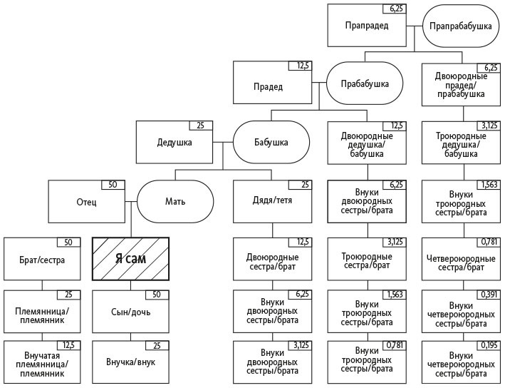 Иллюстрация к книге — Организованный ум [i_003.jpg]